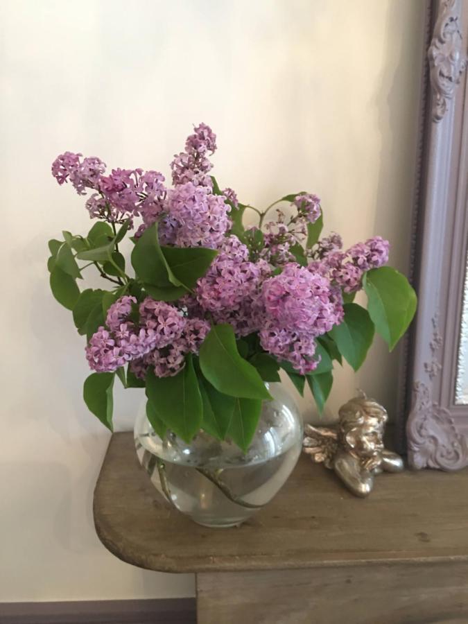 B&B Petit Prince, Gent Bagian luar foto